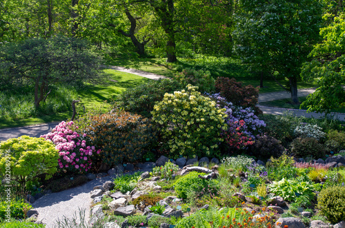 garden with flowers