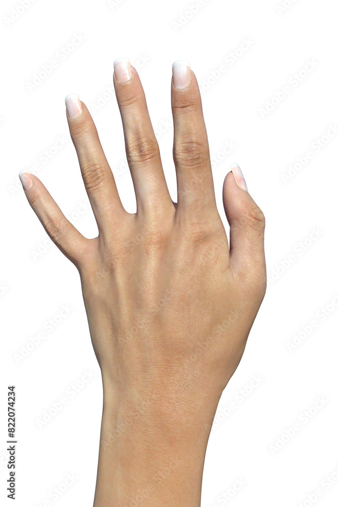Fototapeta premium mani segni delle mani da donna e da uomo su fondo trasparente isolato