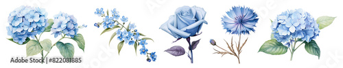Botanical style of blue flower png on transparent background © Rawpixel.com