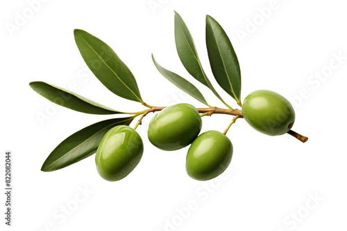 Wallpaper Mural Dancing Olives: A Tale of Natures Symphony on a Clear PNG or White Background. Torontodigital.ca