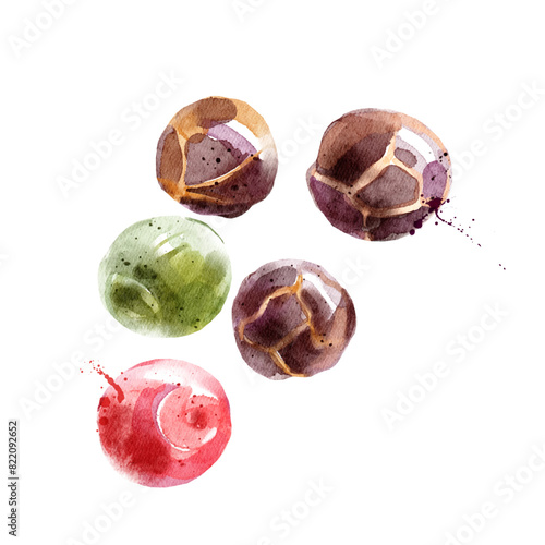 Watercolor hand drawn sketch spice black pappers. Painted vector isolated illustration on white background for packaging design (ID: 822092652)