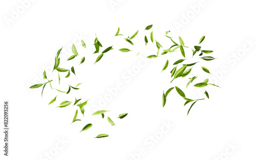 Green natural tea leaves, 3d rendering. photo