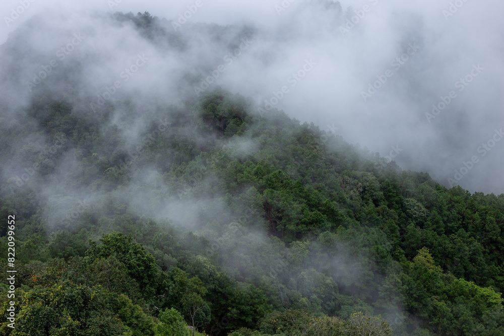 Selective focus mountains covered with fog Refreshing rainy season mist View from a traveler on the mountain top misty forest mountain background Selective focus mountains covered with fog Refreshing rainy season mist View from a traveler on the mountain top misty forest mountain background