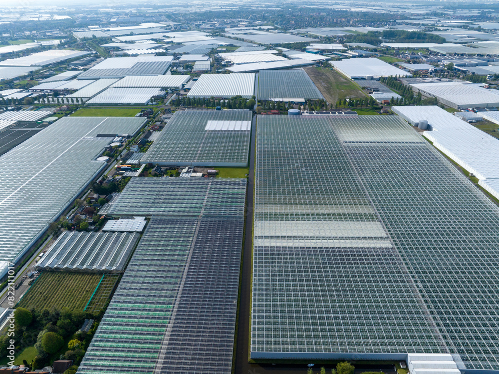 Wide Squaresd of Greenhouses located in the Netherlands, Aerial Drone view. Green Glasshouses near to Monster, Hague.