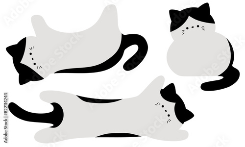 かわいいハチワレ猫のフレームセット3