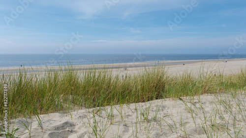 Golden sand dunes and lush green grass sway gently under the suns warm rays on the peaceful beaches of Texel, Netherlands.