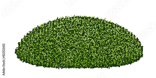 A green hill or alpine hill with bushes or a thick lawn. Elevation of plants with leaf texture. Vector illustration isolated from background. Evergreen boxwood shrub