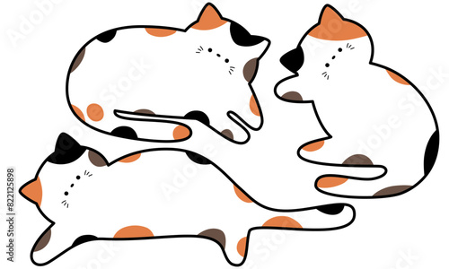 縁ありのかわいい三毛猫のフレームセット