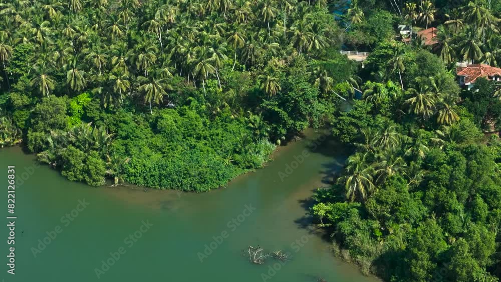 Aerial view of lush tropical forest with river Maha Oya, bridge, and palm trees, Negombo, Sri Lanka. Aerial view of lush tropical forest with river Maha Oya, bridge, and palm trees, Negombo, Sri Lanka.
