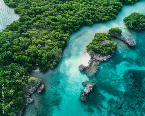 Aerial View of a Secluded Tropical Mangrove Ecosystem  concept for nature documentaries  conservation awareness campaigns  and serene nature backgrounds