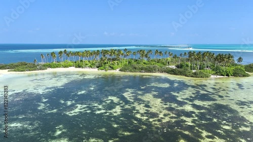 Aerial view of swamp, mangrooves, sea grass, island, and palm trees, Addu Nature Park, Hithadhoo, Addu Atoll, Maldives. photo