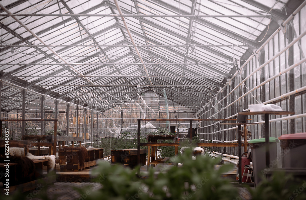 Greenhouse Greenhouse