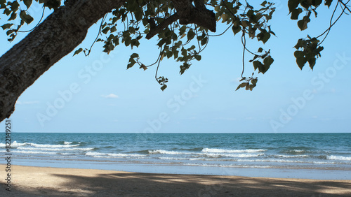 Tranquility under the shade of tree on the beach. Sea waves and sunlight. © Win Nondakowit