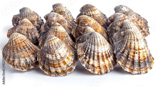 Open fresh shell raw molluscs delicious seafood shellfish collection, sea oysters fresh, isolated on white clean background.Fresh and Delicious Seafood Collection - Mouthwatering Oysters, Exquisite Sh