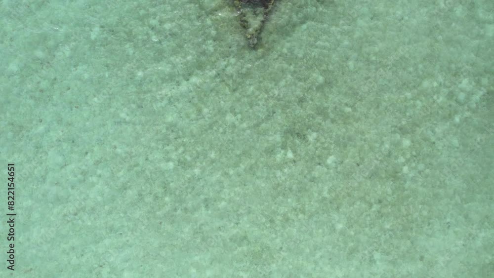 Aerial view of Japanese shipwreck in clear water, Daracoton Island, Philippines. Aerial view of Japanese shipwreck in clear water, Daracoton Island, Philippines.