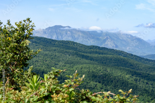 Scenic view from Taza national park in jijel, Algeria