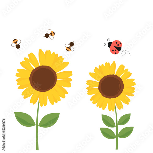 Sunflower, bee cartoons and ladybug isolated on white background vector. © Thanawat