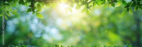 Sunlit green leaves with bright bokeh background in a tranquil nature setting
