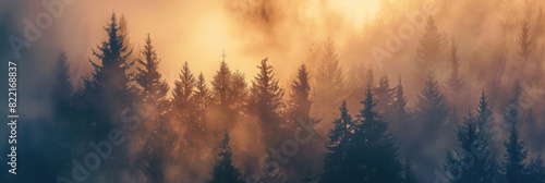 Long exposure of swirling fog among fir trees, with a subdued retro color scheme. © NooPaew