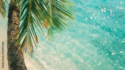 Palm tree with clear turquoise sea water at background, close up