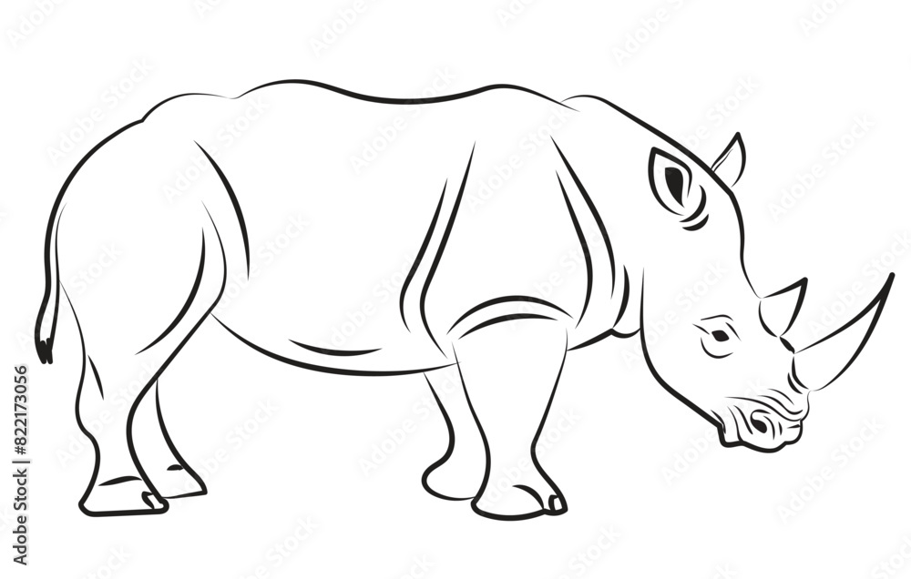 Fototapeta premium A flawlessly drawn Rhinoceros line drawing in Adobe Illustrator features soft curves and a clear creative expression.