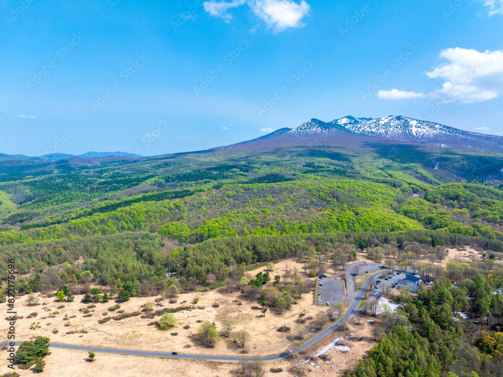 Fototapeta premium 八甲田山 萱野高原(青森県)