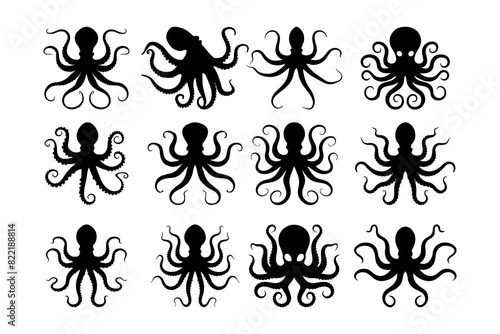 a collection of octopus images including octopus, octopus, octopus, octopus, and octopus.