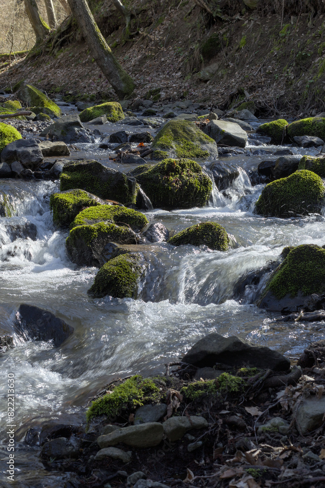 a forest stream flows between moss-covered stones a forest stream flows between moss-covered stones