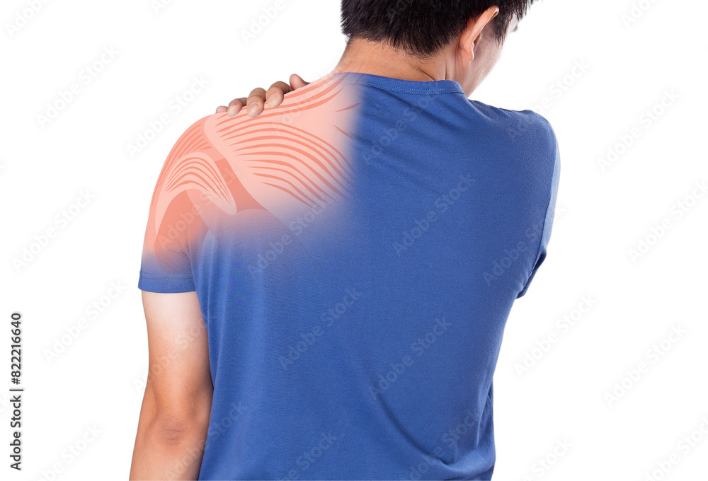 shoulder muscle pain shoulder muscle pain