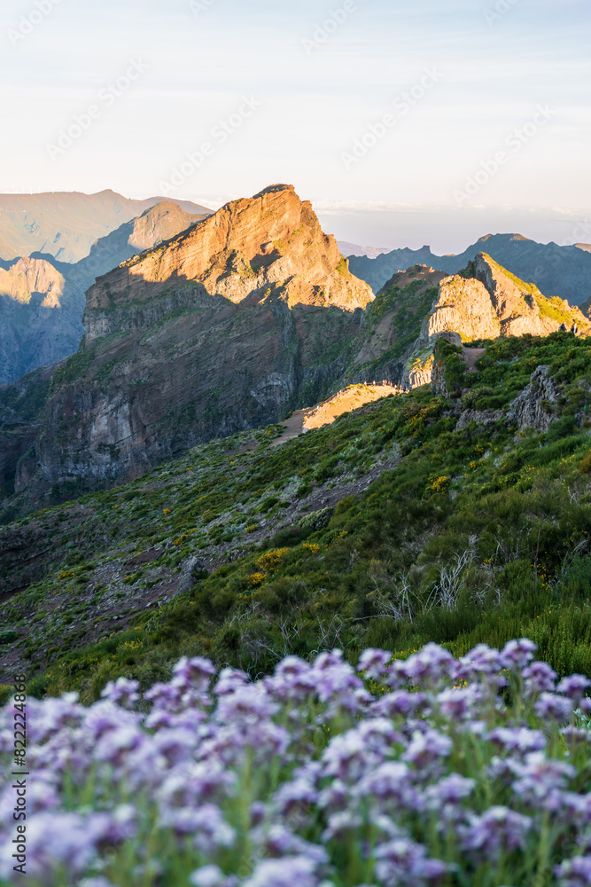 Fototapeta premium Summer landscape from the beautiful Pico do Arieiro (Areeiro) hiking trail with the morning sun shining on the mountain peaks. Madeira mountain landscape.