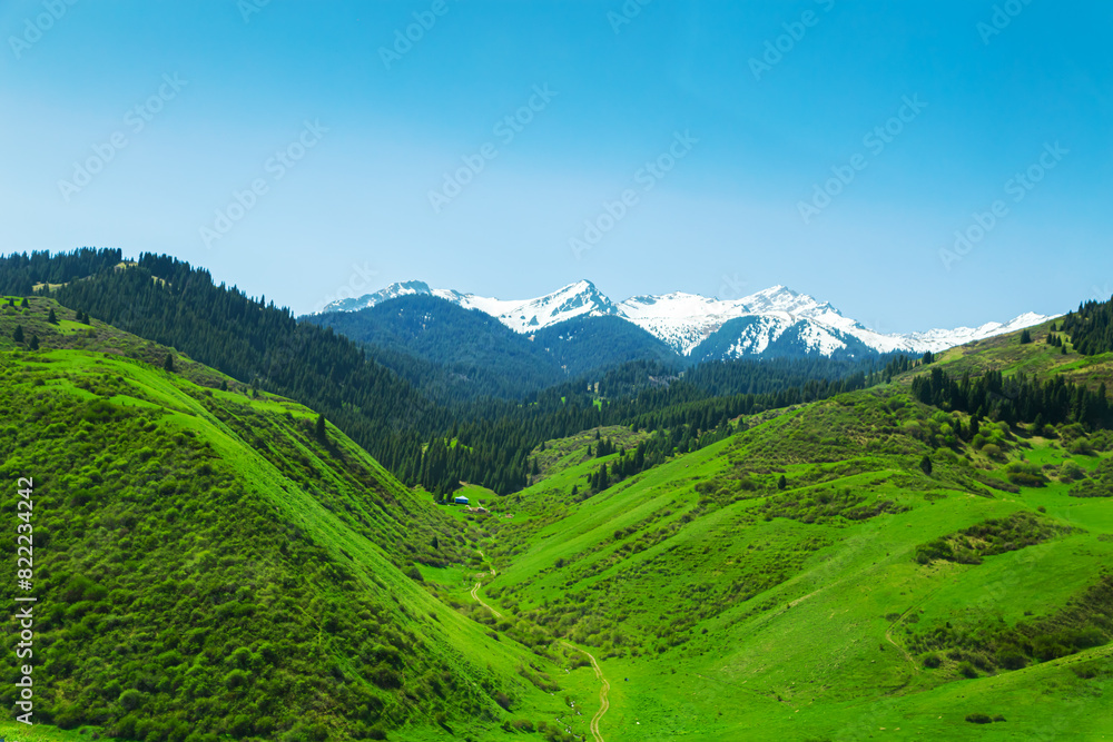 View of the Ile Alatau mountains in the national natural park on a bright sunny day. View of the Ile Alatau mountains in the national natural park on a bright sunny day.
