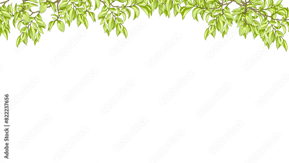 green leaves border green leaves border