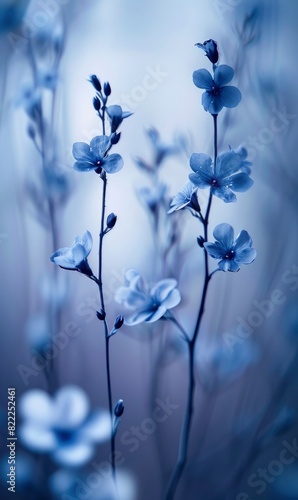 Blue Abstract Nature Elements,Photorealistic HD