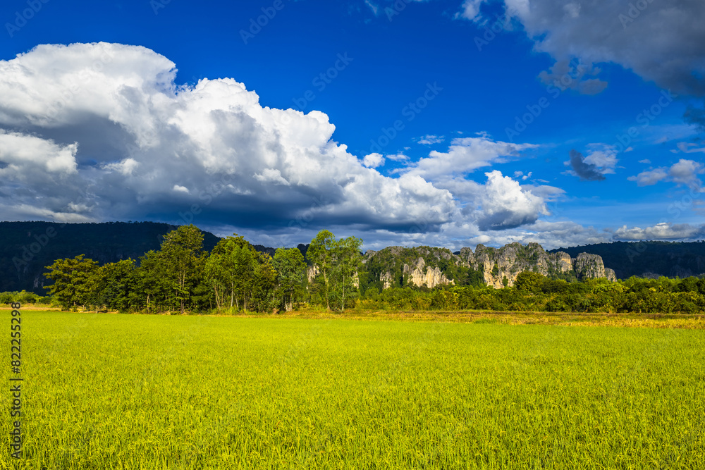 Green rice field and the mountain range with big white clouds, beautiful scenic at Noen Maprang province, Phitsanulok, Thailand