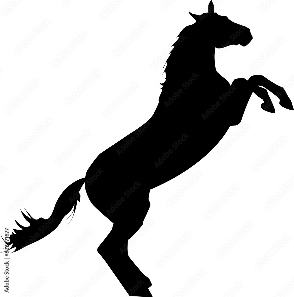 Silhouette Horse Illustration Silhouette Horse Illustration