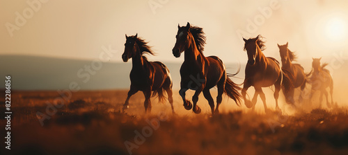 a close-up image of a group of wild horses in full gallop, their silhouettes sharply defined against a backdrop of rolling hills and a beautifully blurred horizon, creating a sense