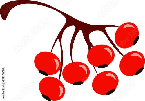 Ripe cherries clustered together on a branch, ready for picking in the autumn season.