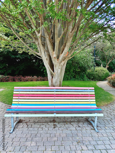 panchina colorata nel parco, colorful bench in the park