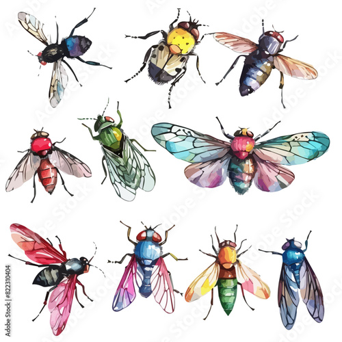 Watercolor clipart vector of fly set collection, isolated on a white background, fly vector, Illustration painting, Graphic logo, drawing design art © mosio