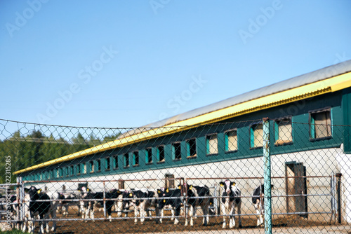 large farm with a cow pen