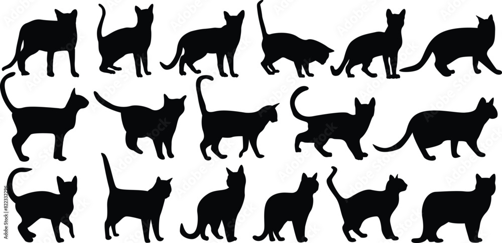 Black Cat Set Isolated White Background, Vector Illustration Black Cat Set Isolated White Background, Vector Illustration