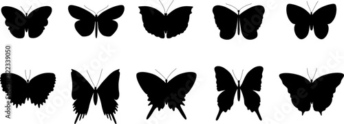 Butterfly silhouette vector illustration collection. Various butterflies black shapes set. Wild nature insects isolated. Design element for print, icon, tattoo