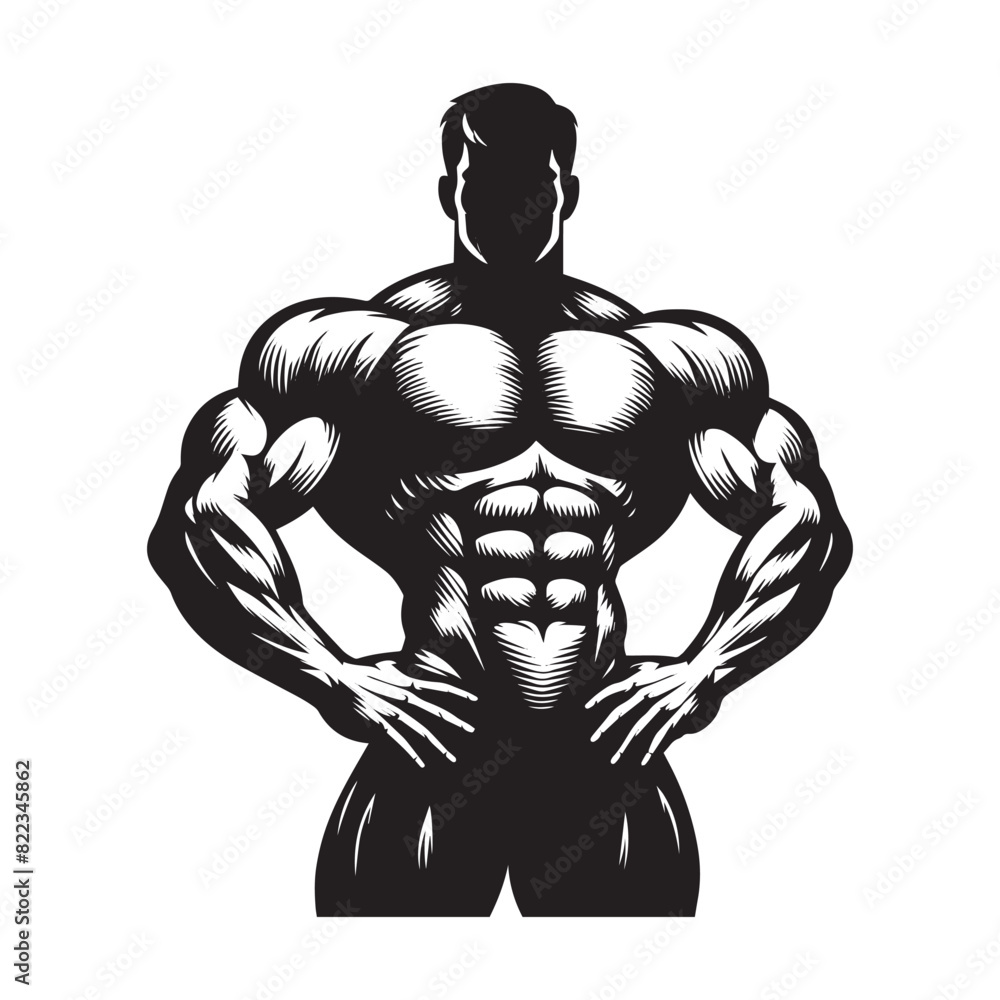 a clean body builder vector lines ,Muscular man in different poses showing muscles, Silhouettes athletes bodybuilding, Muscular bodybuilder vector silhouette illustration a clean body builder vector lines ,Muscular man in different poses showing muscles, Silhouettes athletes bodybuilding, Muscular bodybuilder vector silhouette illustration