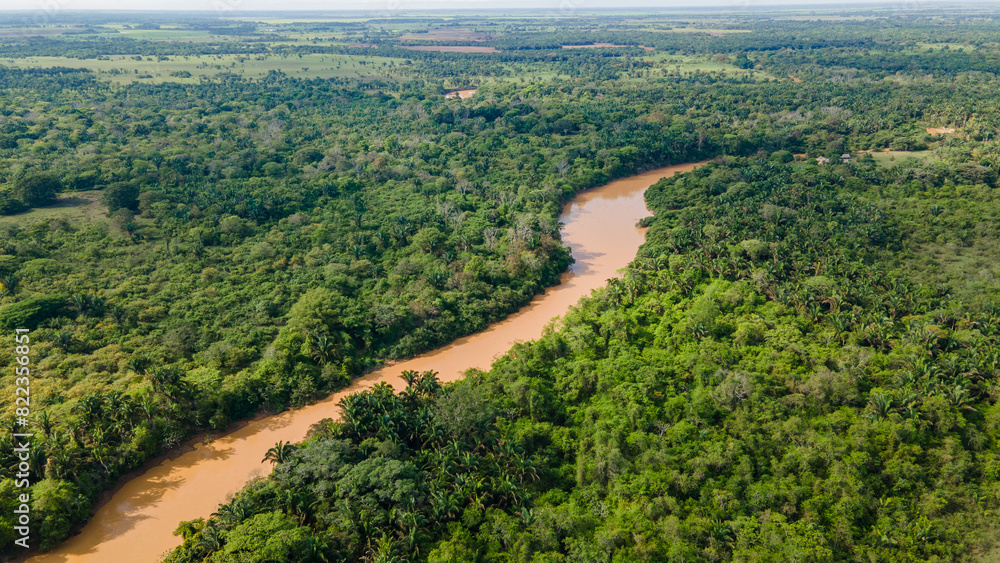 Aerial view of Colombian forest at Hato la Aurora Aerial view of Colombian forest at Hato la Aurora