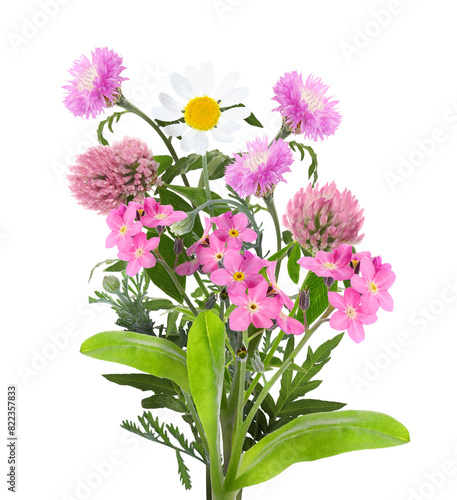 Bouquet of beautiful meadow flowers isolated on white © New Africa