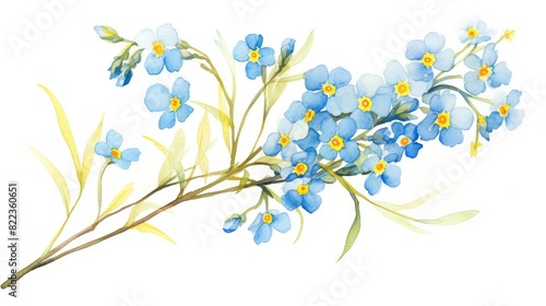 Delicate watercolor sketch of a forget-me-not flower with its tiny blue petals and yellow center