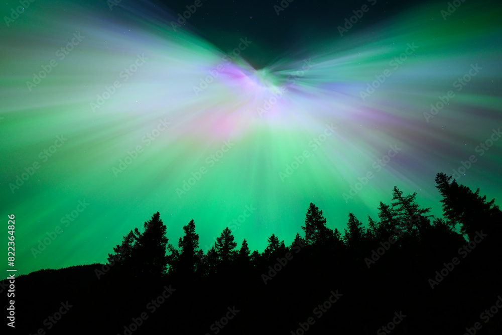 Aurora Borealis rays spreading from auroral corona point with treeline creating colorful night sky with green and pink colors above the North Cascade National Park