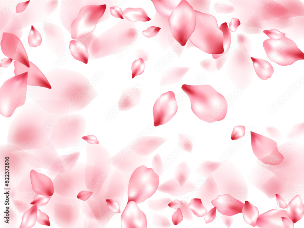 Pink sakura flower flying petals isolated on white vector background. Pink sakura flower flying petals isolated on white vector background.