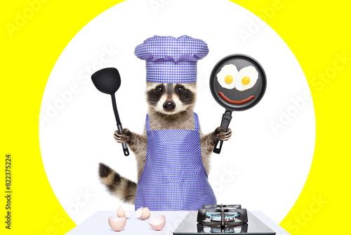 Raccoon in a chef's costume with fried eggs in a frying pan in his hands on a blue background