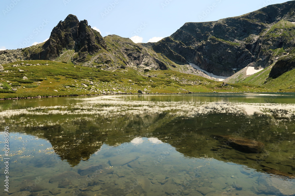 The mountains reflecting on the smooth surface of the Fish Lake, Ribnoto Ezero, one of the Seven Rila Lakes, white flowers, blossoms in the water, Rila National Park, close to Sofia, Bulgaria